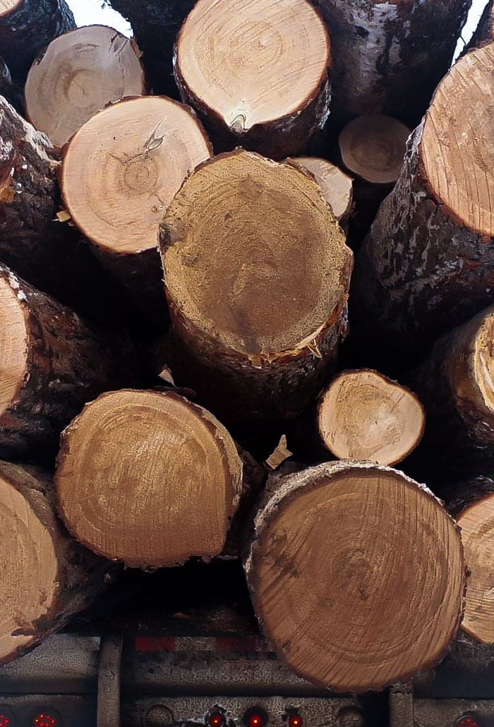 scierie Gaudreault Bois Laurentiens